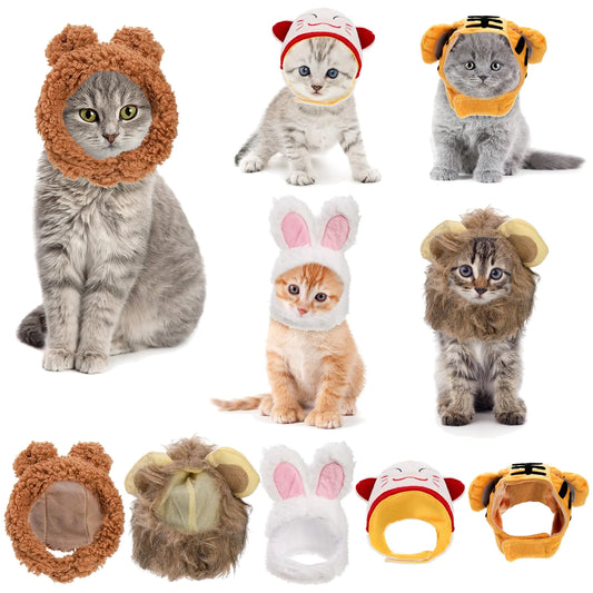 Purrfect Party Pet Hats 5-Pack