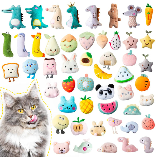 FelineFun 50 Pcs Catnip Toy Collection