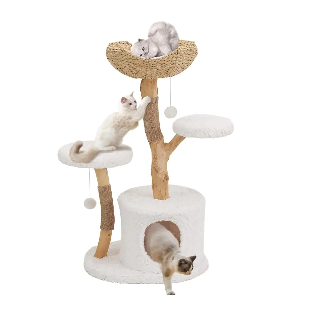 Modern Pearwood Cat Tree for Large Cats