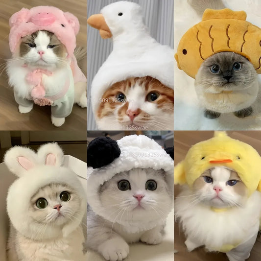 Adorable Plush Cat Hat – Soft & Stretchy Winter Pet Beanie for Cosplay & Photos