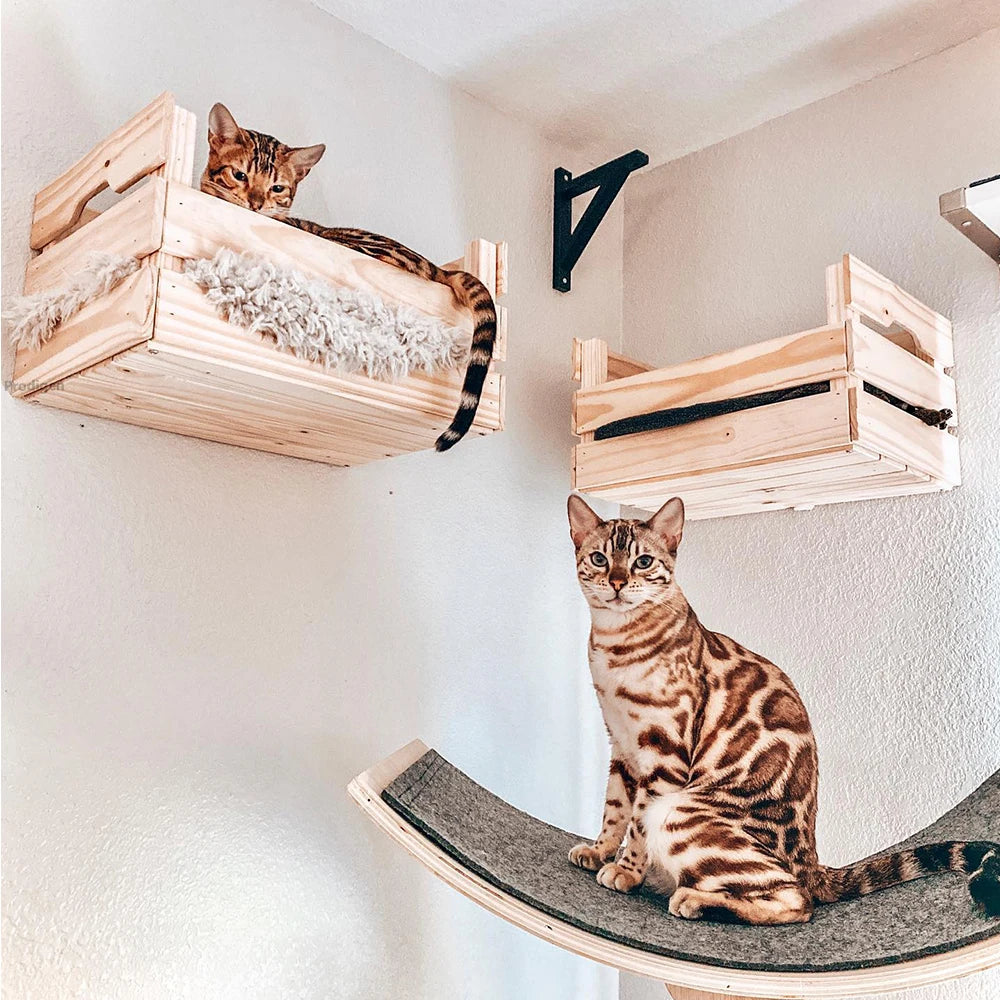 Wall-Mounted Curved Cat Bed – Stylish Floating Perch & Climbing Shelf for Indoor Cats