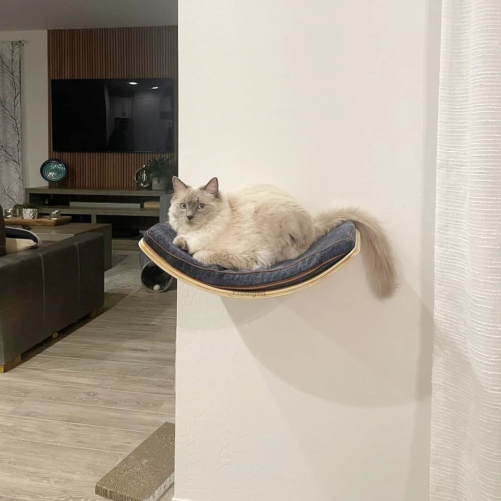 Wall-Mounted Curved Cat Bed – Stylish Floating Perch & Climbing Shelf for Indoor Cats