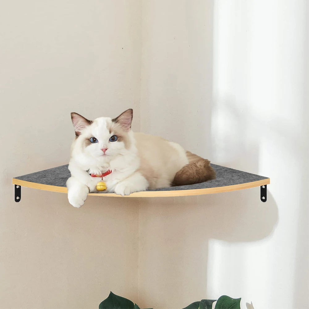 Wall-Mounted Curved Cat Bed – Stylish Floating Perch & Climbing Shelf for Indoor Cats