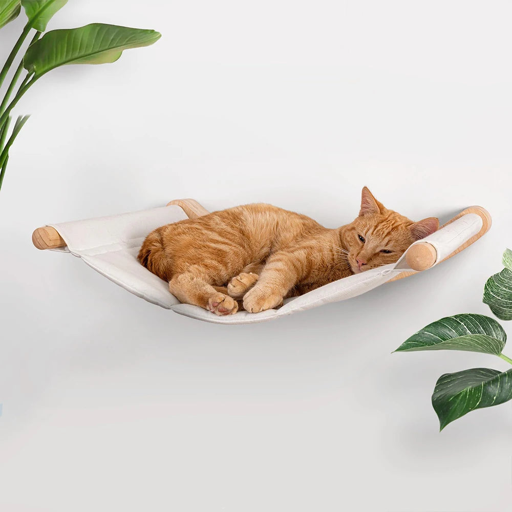 Wall-Mounted Curved Cat Bed – Stylish Floating Perch & Climbing Shelf for Indoor Cats