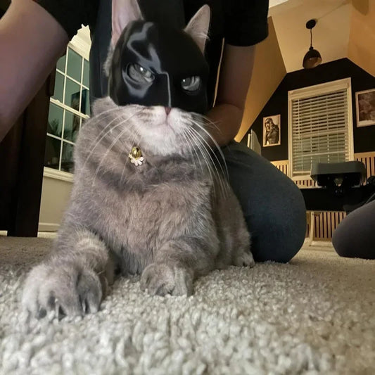 Superhero Bat Cat Mask – Cool Cosplay Costume for Cats, Perfect for Halloween & Photos