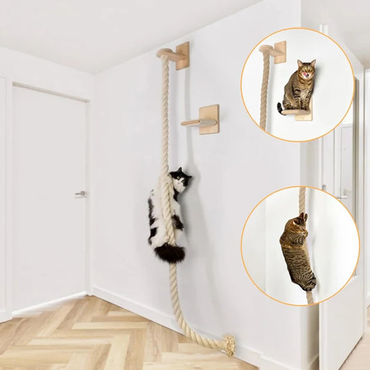 Wall-Mounted Cat Climber – Sisal Rope Scratching Post & Jungle Gym for Indoor Cats