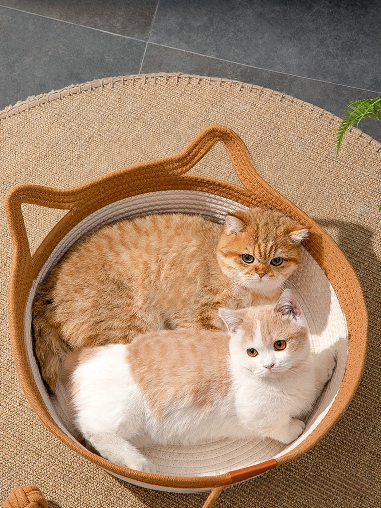 Handwoven Cat Bed – Cozy, Breathable, All-Season Nest with Removable Cushion