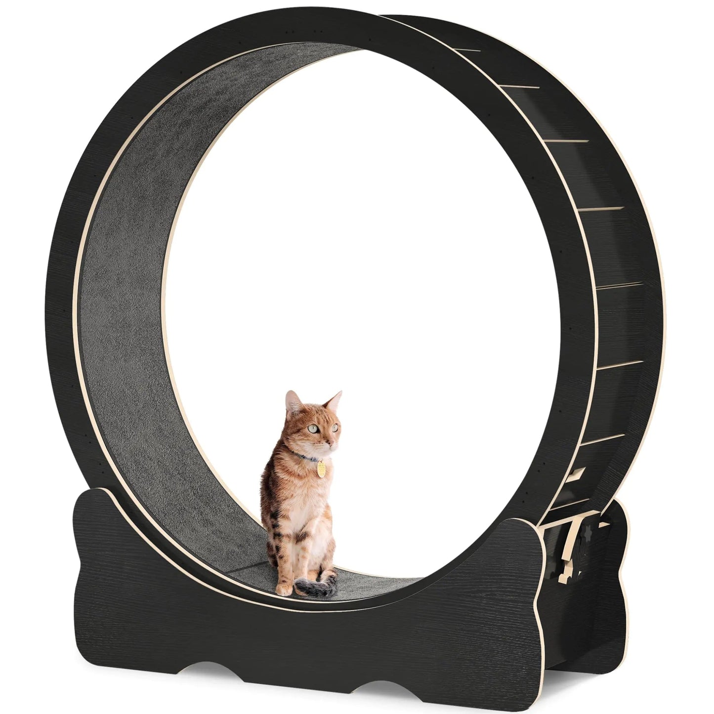 DWVO 43.3” Large Cat Exercise Wheel – Silent Running Treadmill with Safety Lock for Indoor Cats