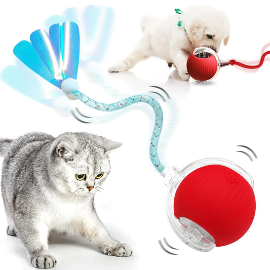 LGGbaodan Smart Cat Play Ball